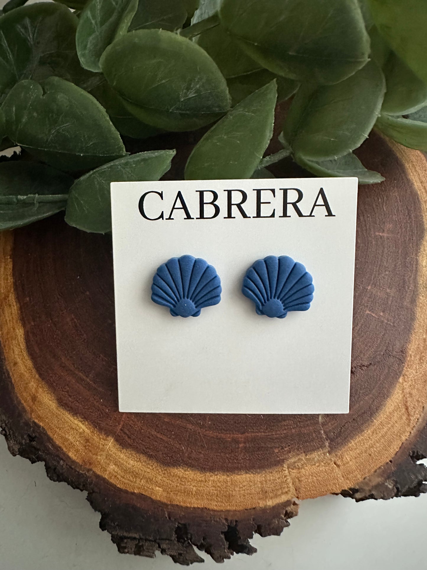 Ocean Shell Design